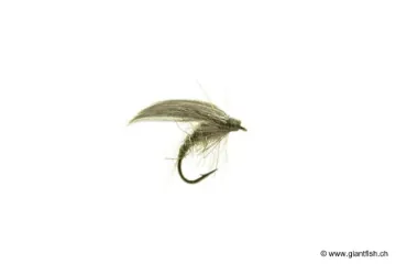 Mouche Devaux Ephémère ORNANS 10