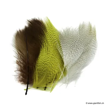 Plumes Flanc de Canard Devaux