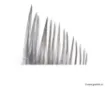 Picture of Devaux Hackles Genetic Grizzly Rooster Feathers