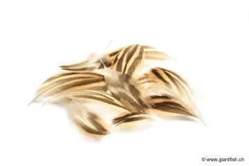 Plumes Flanc de Cane & Poitrail Devaux