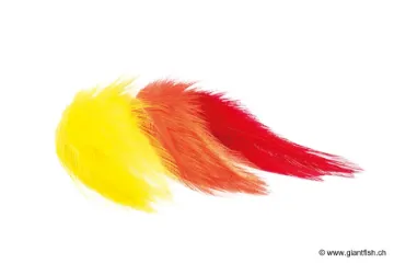Plumes Streamers Devaux