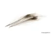 Picture of Devaux Dyed Stripped Peacock Quill