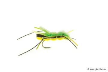 Mouche Devaux Terrestre SAUT 01