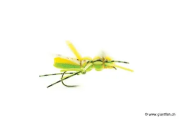 Mouche Devaux Terrestre SAUT 02