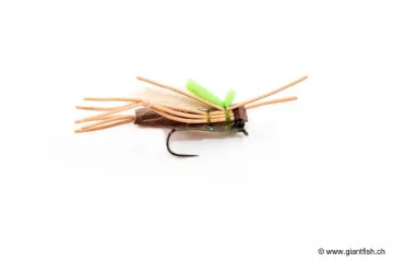 Mouche Devaux Terrestre SAUT 03