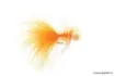 Immagine di Mosca Devaux Streamer ST 53