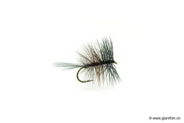 Mouche Devaux Palmer TT 04