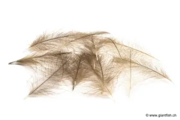 Devaux CDC SELECT 1grs