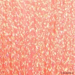 Corail