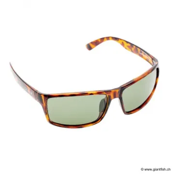 Devaux LUNETTE VUXUN VERRE G20 VERT-PRE PHOTOCHROMIQUE