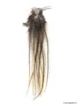 Lancette de Pardo Claire