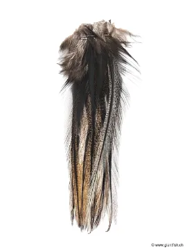 Devaux Partridge feather