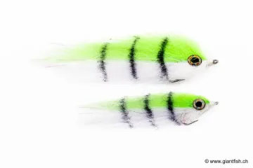 Devaux MOUCHE MER SW H2