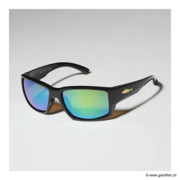 Lunettes Polarisantes Big Fish 1983 Gold Fish Tuna Green Blue Iridium