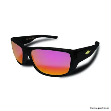 Lunettes Polarisantes Big Fish 1983 The Mask Evo