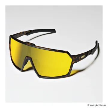 Lunettes Polarisantes Big Fish 1983 Easy Fish Trout Gold Iridium