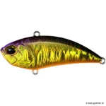 Kohoku Purple Kinkuro