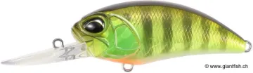 Leurre Flottant DUO Realis Crank M65 11A - 6.5 cm