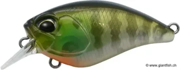 Leurre Flottant DUO Crank Mid Roller 40 F - 4 cm