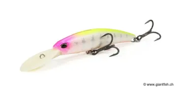 Leurre Flottant DUO Realis Fangbait 120 DR SW LTD - 12 cm