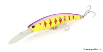 Leurre Flottant DUO Realis Fangbait 140 DR SW LTD - 14 cm