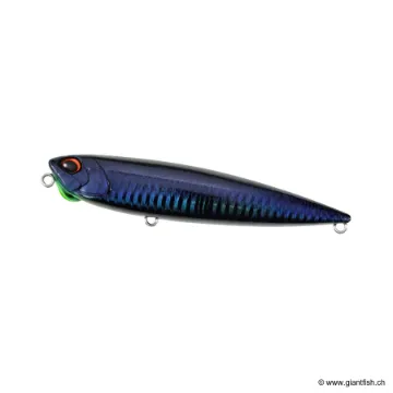 Leurre de Surface DUO Realis Pencil 110 FW - 11 cm
