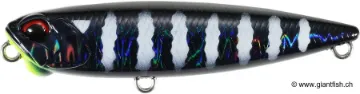 Leurre Flottant DUO Realis Pencil 65 FW - 6.5 cm