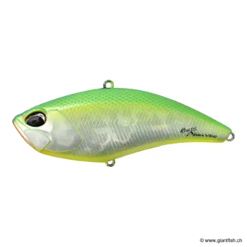 DUO REALI﻿S APEX VIBE 100