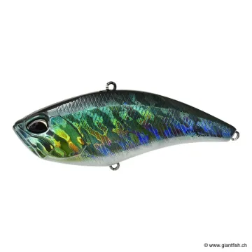 DUO REALI﻿S APEX VIBE 100