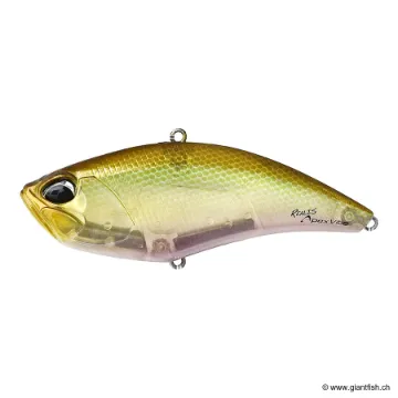 DUO REALI﻿S APEX VIBE 100