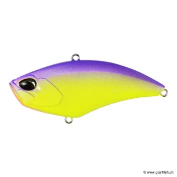 DUO APEX VIBE 85 REALIS