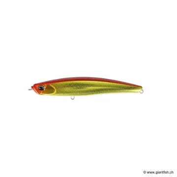 DUO BAYRUF SEEK 108S