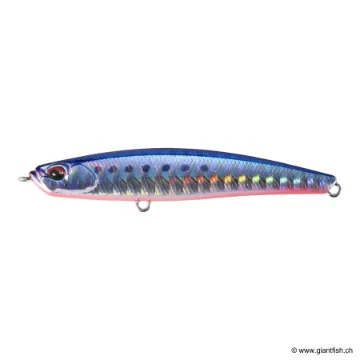 DUO BAYRUF SEEK 68HW