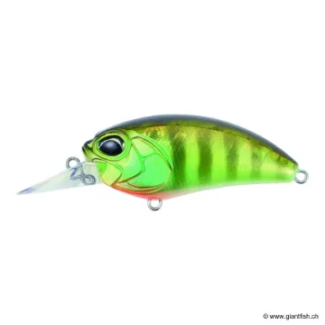DUO Realis Crank M62 5A