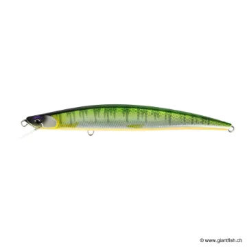 DUO ONIMASU MASAKAGE SLIM 120F