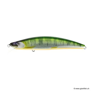 DUO ONIMASU MASAKAGE 110F