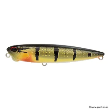 DUO REALIS PENCIL 110 FW