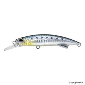 DUO ROUGH BLAZIN 110