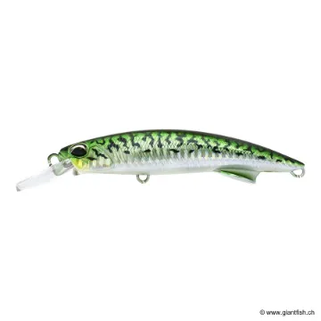 DUO ROUGH BLAZIN 110