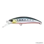 Sardine RB