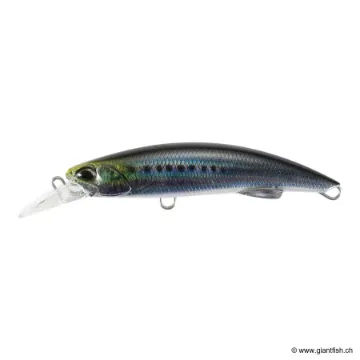 DUO ROUGH TRAIL BLAZIN 70 S