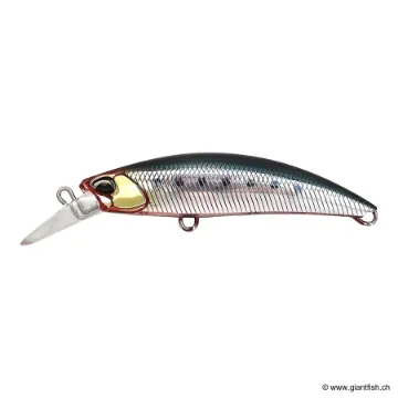 DUO ROUGH TRAIL BLAZIN 70 S