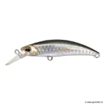 Clear Anchovy