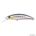 Sardine RB