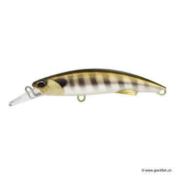 DUO ROUGH TRAIL BLAZIN 85 S