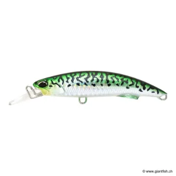 DUO ROUGH TRAIL BLAZIN 92