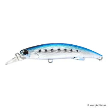 DUO ROUGH TRAIL BLAZIN