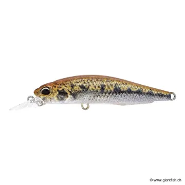 DUO REALIS ROZANTE 63 SP