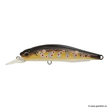 DUO Realis Rozante 63 SP