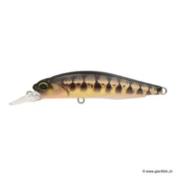 DUO Realis Rozante 63 SP